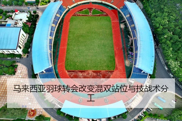 马来西亚羽球转会改变混双站位与技战术分工 - FIFA